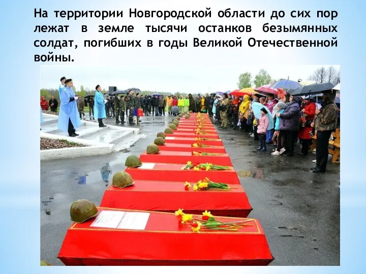 На территории Новгородской области до сих пор лежат в земле тысячи останков безымянных