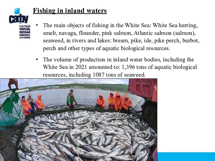 Fishing in inland waters The main objects of fishing in