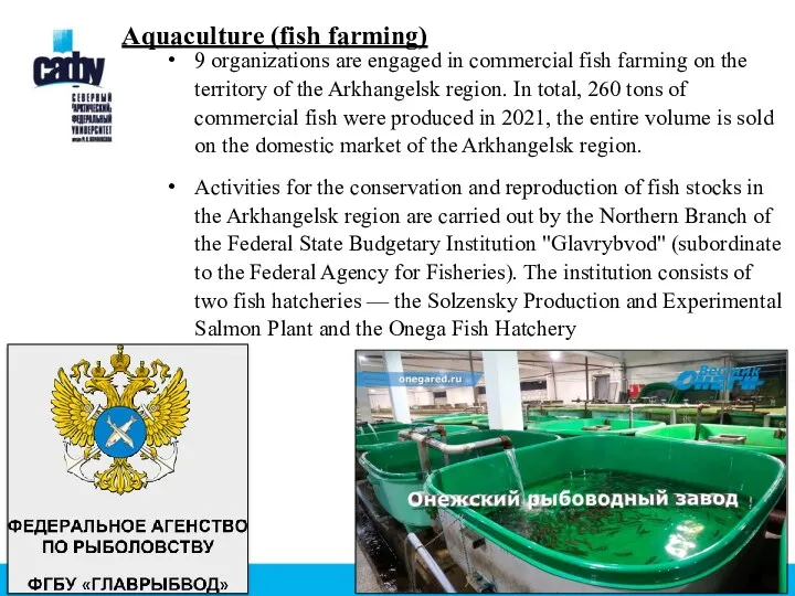 Aquaculture (fish farming) 9 organizations are engaged in commercial fish