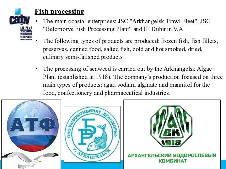 Fish processing The main coastal enterprises: JSC "Arkhangelsk Trawl Fleet",