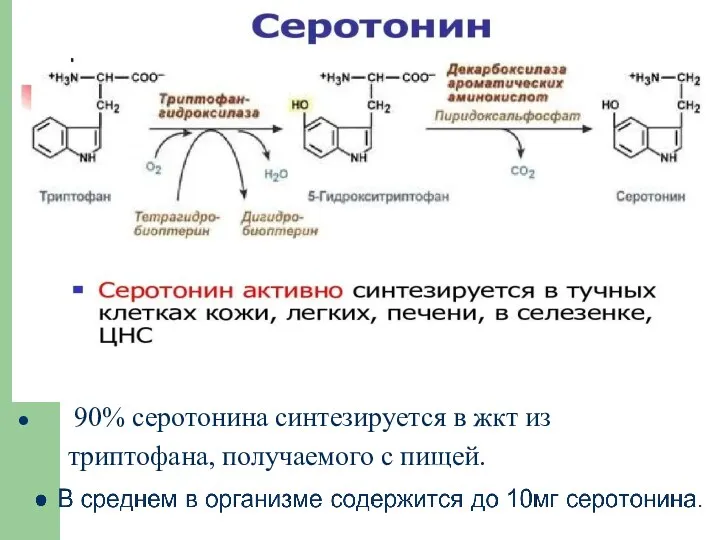 90% серотонина синтезируется в жкт из триптофана, получаемого с пищей.