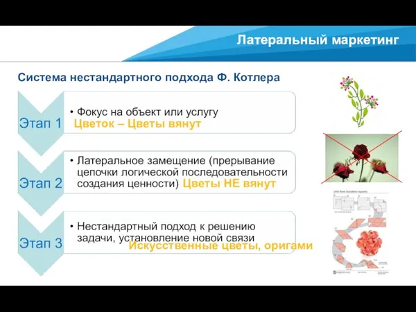 Латеральный маркетинг Система нестандартного подхода Ф. Котлера Цветок – Цветы