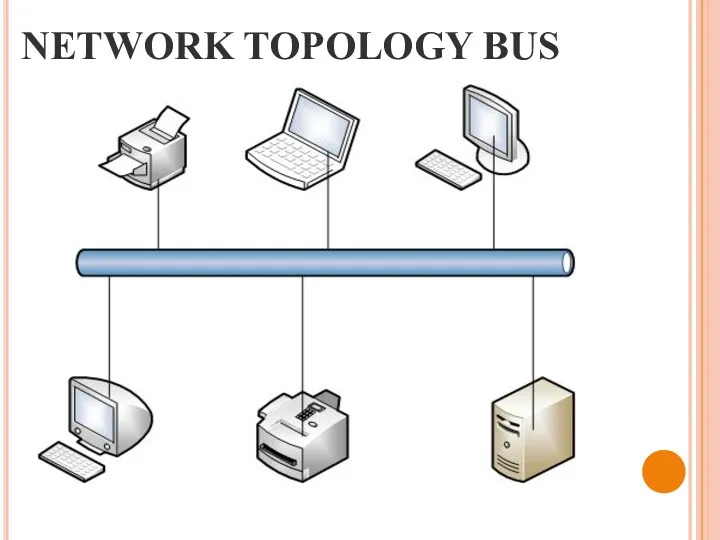 NETWORK TOPOLOGY BUS