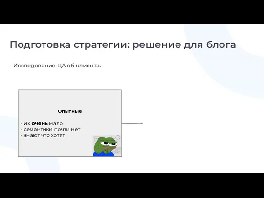 Подготовка стратегии: решение для блога Исследование ЦА об клиента. Опытные