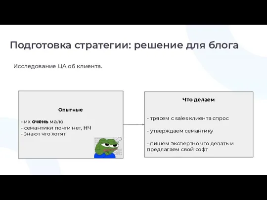 Исследование ЦА об клиента. Подготовка стратегии: решение для блога Опытные