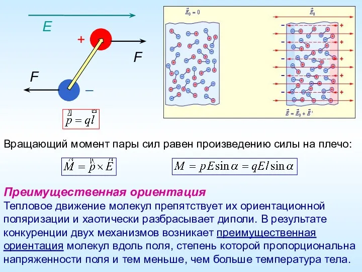 Преимущественная ориентация Тепловое движение молекул препятствует их ориентационной поляризации и