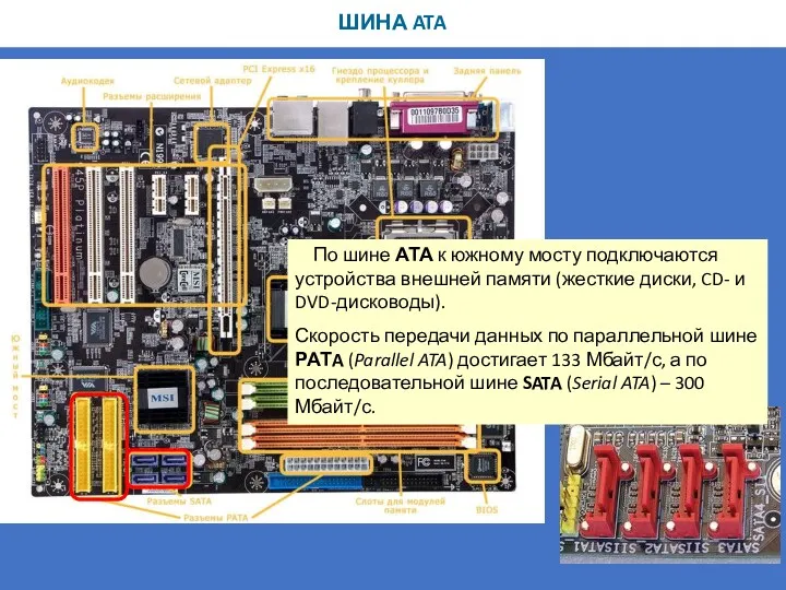 ШИНА ATA По шине АТА к южному мосту подключаются устройства внешней памяти (жесткие