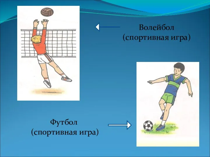 Волейбол (спортивная игра) Футбол (спортивная игра)