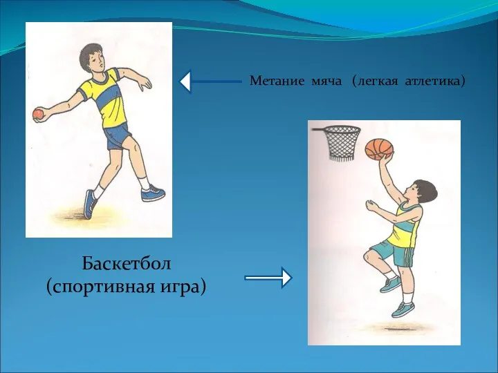 Метание мяча (легкая атлетика) Баскетбол (спортивная игра)