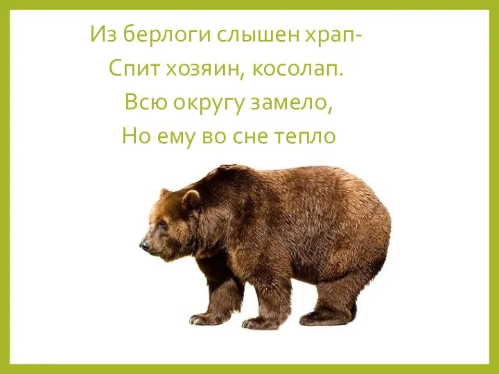 Из берлоги слышен храп- Спит хозяин, косолап. Всю округу замело, Но ему во сне тепло