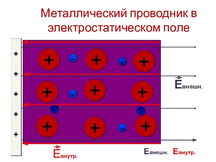 Металлический проводник в электростатическом поле Евнешн. Евнутр. Евнешн.= Евнутр.