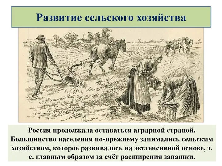 Россия продолжала оставаться аграрной страной. Большинство населения по-прежнему занимались сельским