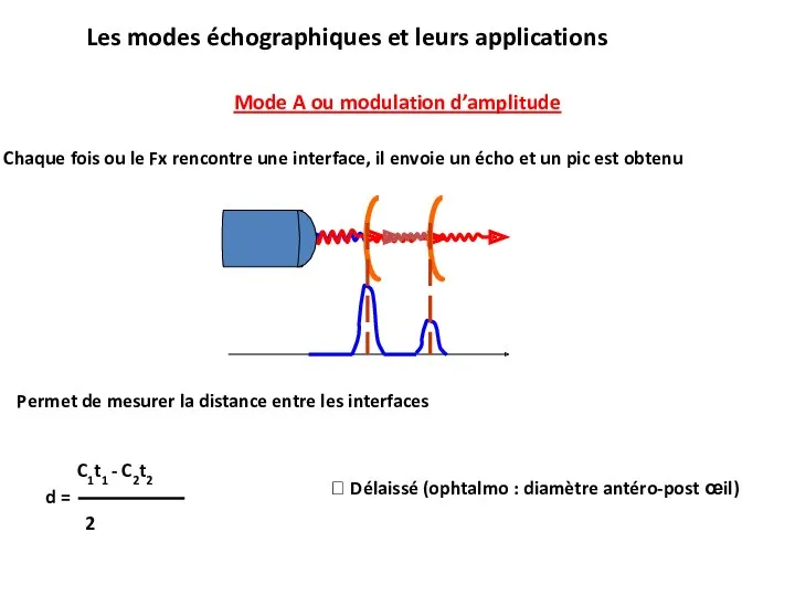 Les modes échographiques et leurs applications Mode A ou modulation