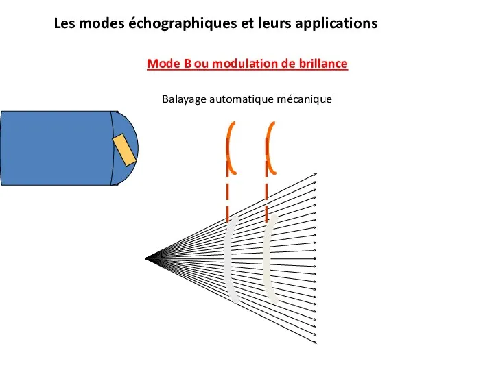 Les modes échographiques et leurs applications Mode B ou modulation de brillance Balayage automatique mécanique