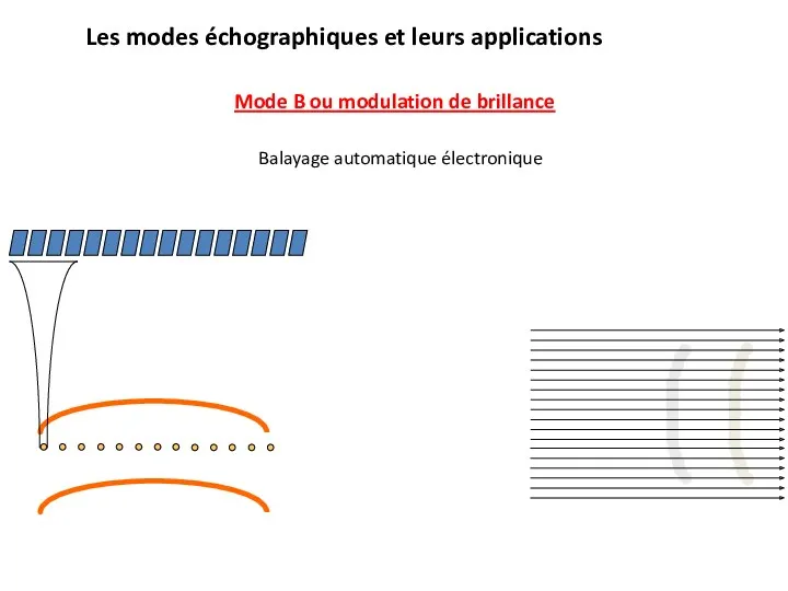 Les modes échographiques et leurs applications Mode B ou modulation de brillance Balayage automatique électronique