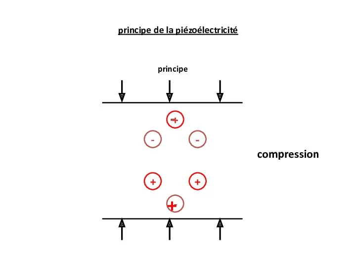 principe compression + - - + + - - + principe de la piézoélectricité