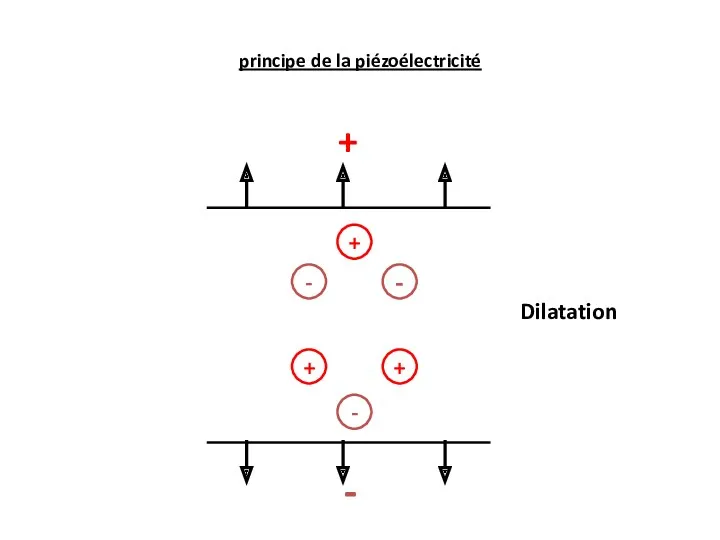 Dilatation + - - + + - - + principe de la piézoélectricité