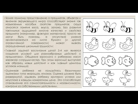 Более полному представлению о предметах, объектах и явлениях окружающего мира