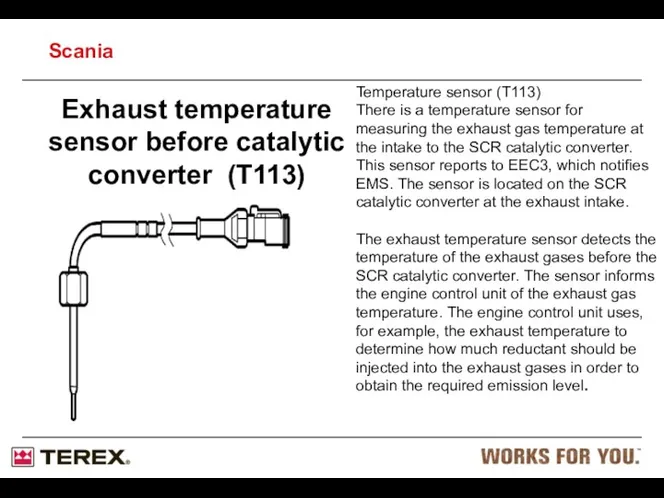 Exhaust temperature sensor before catalytic converter (T113) Temperature sensor (T113)