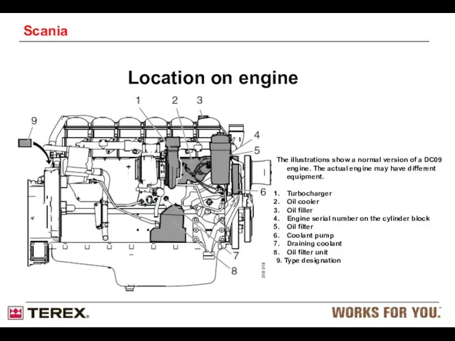 Location on engine The illustrations show a normal version of