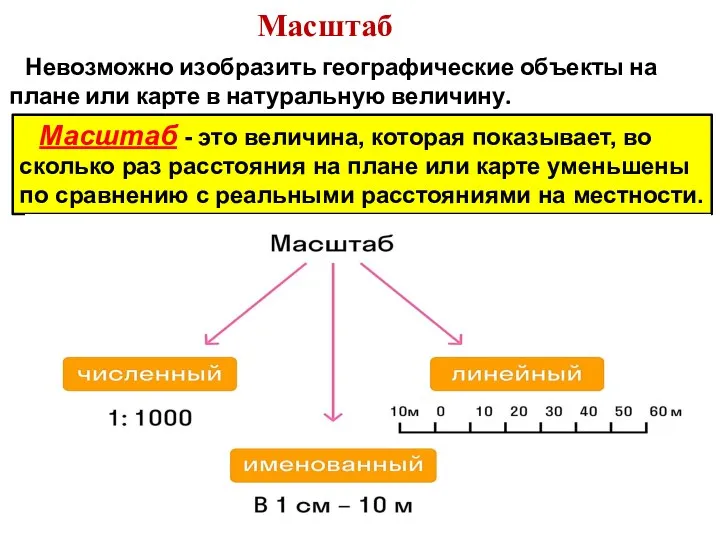 Масштаб Масштаб - это величина, которая показывает, во сколько раз