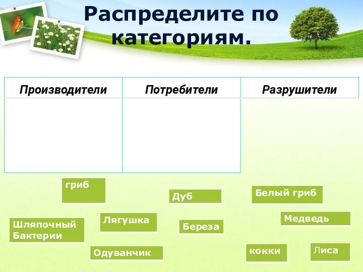 Распределите по категориям.