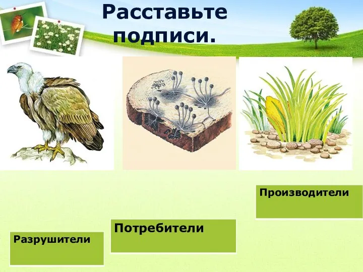 Расставьте подписи.