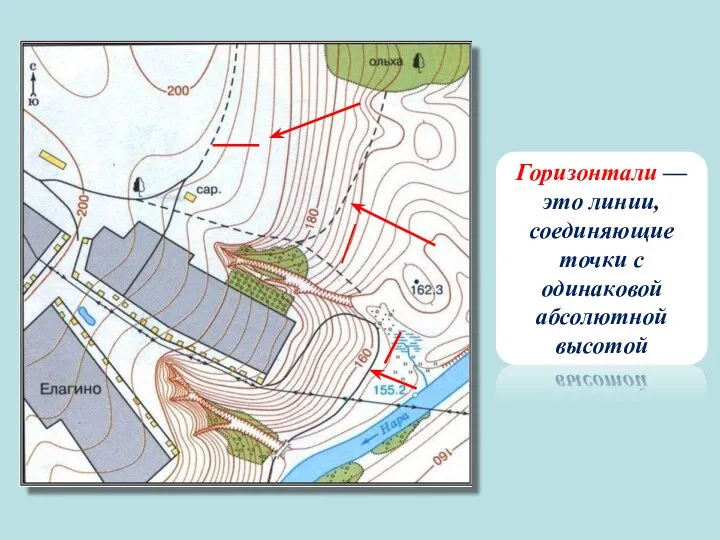 Горизонтали — это линии, соединяющие точки с одинаковой абсолютной высотой