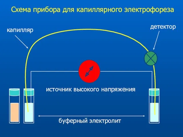 Схема прибора для капиллярного электрофореза