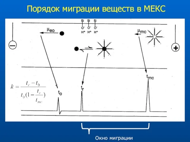 Порядок миграции веществ в МЕКС