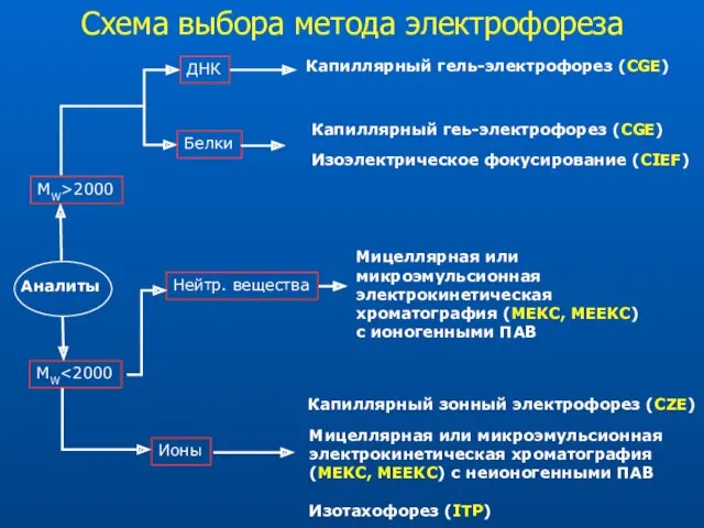 Аналиты MW>2000 MW Капиллярный гель-электрофорез (CGE) Ионы Нейтр. вещества Мицеллярная