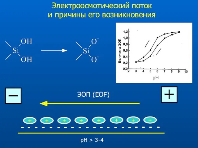 Электроосмотический поток и причины его возникновения