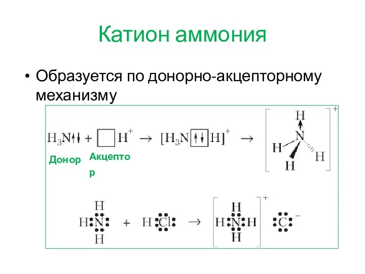 Катион аммония Образуется по донорно-акцепторному механизму Донор Акцептор