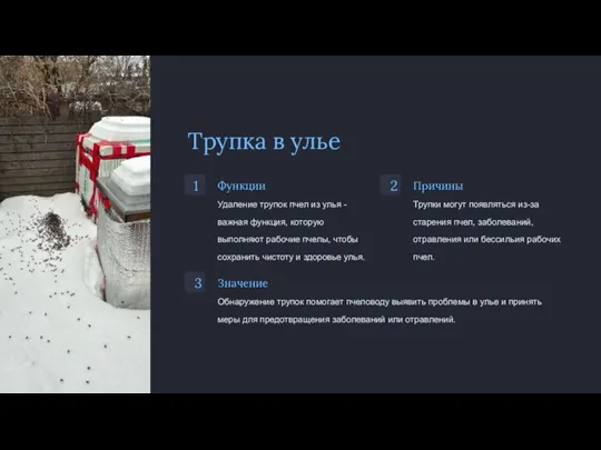 Трупка в улье 1 Функции Удаление трупок пчел из улья