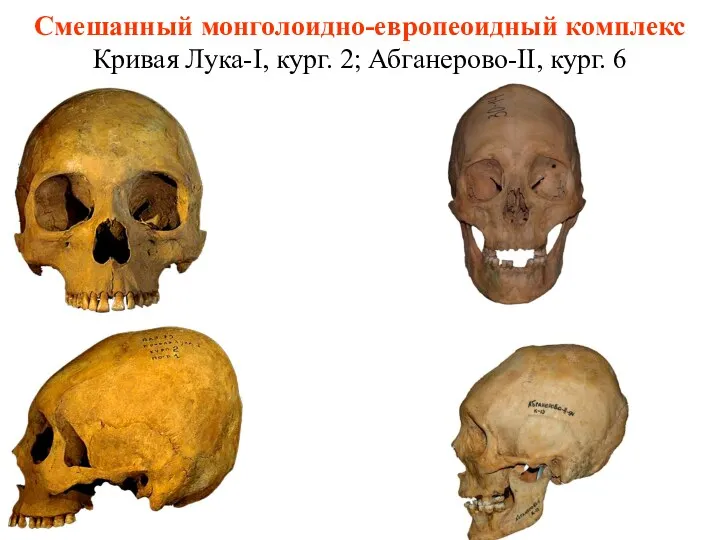 Смешанный монголоидно-европеоидный комплекс Кривая Лука-I, кург. 2; Абганерово-II, кург. 6