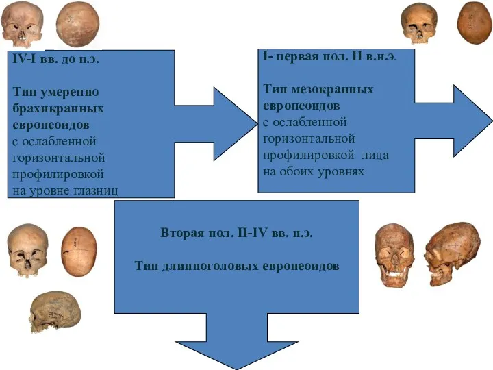 IV-I вв. до н.э. Тип умеренно брахикранных европеоидов с ослабленной