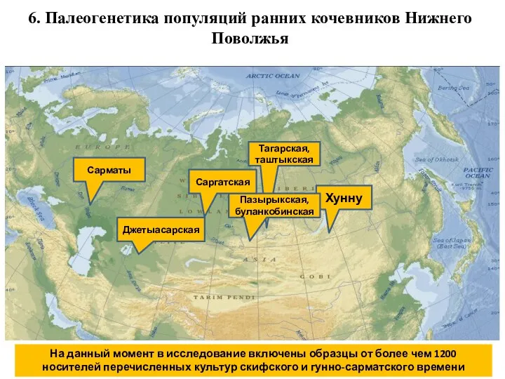 6. Палеогенетика популяций ранних кочевников Нижнего Поволжья На данный момент