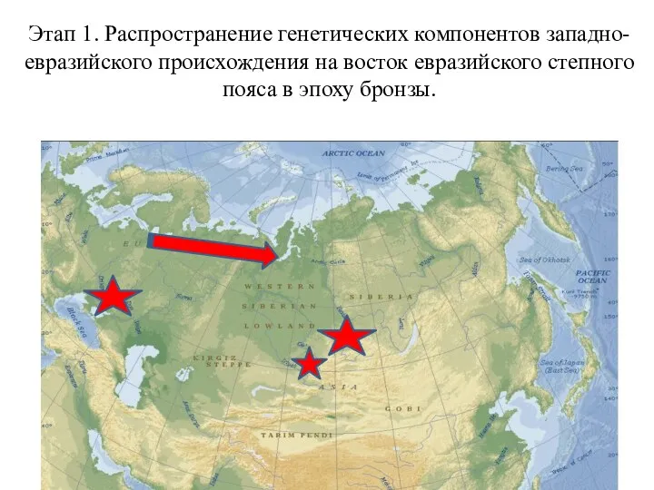 Этап 1. Распространение генетических компонентов западно-евразийского происхождения на восток евразийского степного пояса в эпоху бронзы.