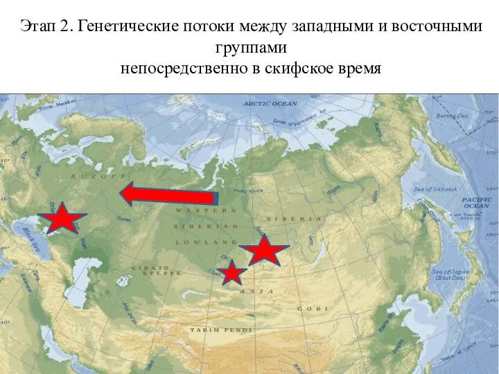 Этап 2. Генетические потоки между западными и восточными группами непосредственно в скифское время