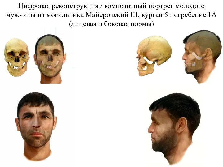 Цифровая реконструкция / композитный портрет молодого мужчины из могильника Майеровский