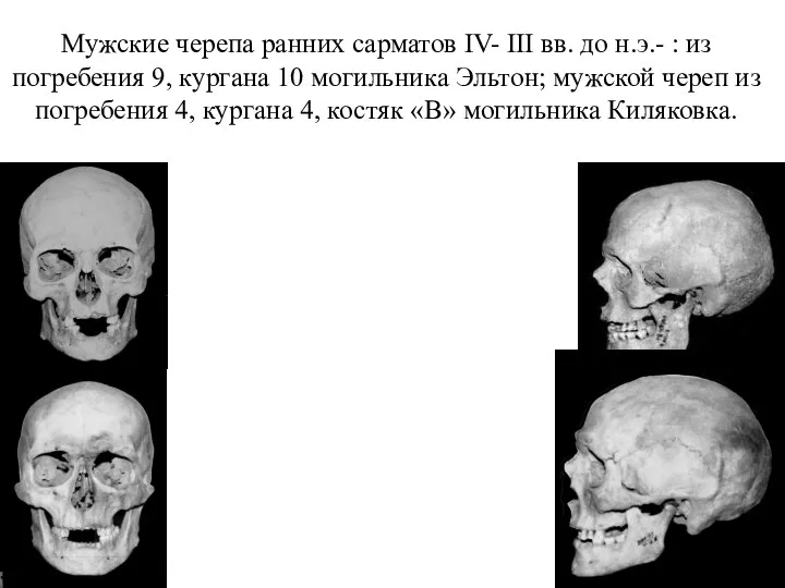 Мужские черепа ранних сарматов IV- III вв. до н.э.- :
