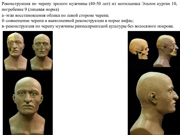 Реконструкция по черепу зрелого мужчины (40-50 лет) из могильника Эльтон
