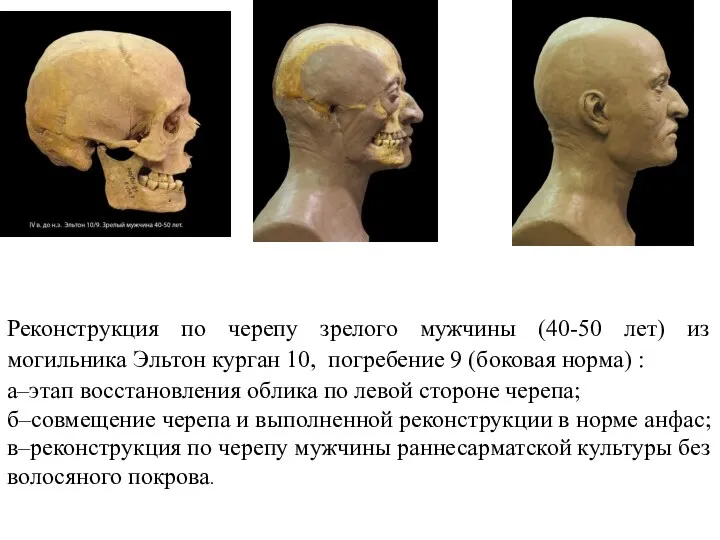 Реконструкция по черепу зрелого мужчины (40-50 лет) из могильника Эльтон