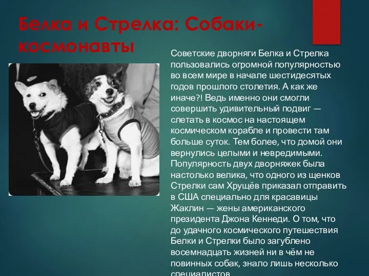 Белка и Стрелка: Собаки-космонавты Советские дворняги Белка и Стрелка пользовались