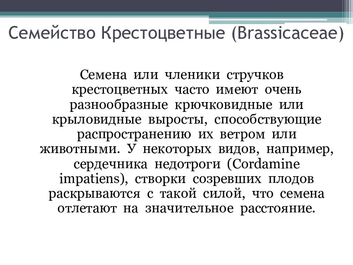 Семена или членики стручков крестоцветных часто имеют очень разнообразные крючковидные