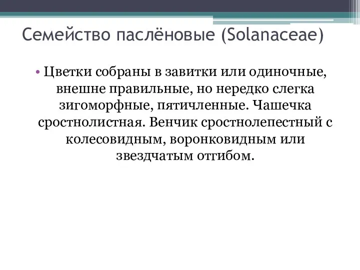 Цветки собраны в завитки или одиночные, внешне правильные, но нередко