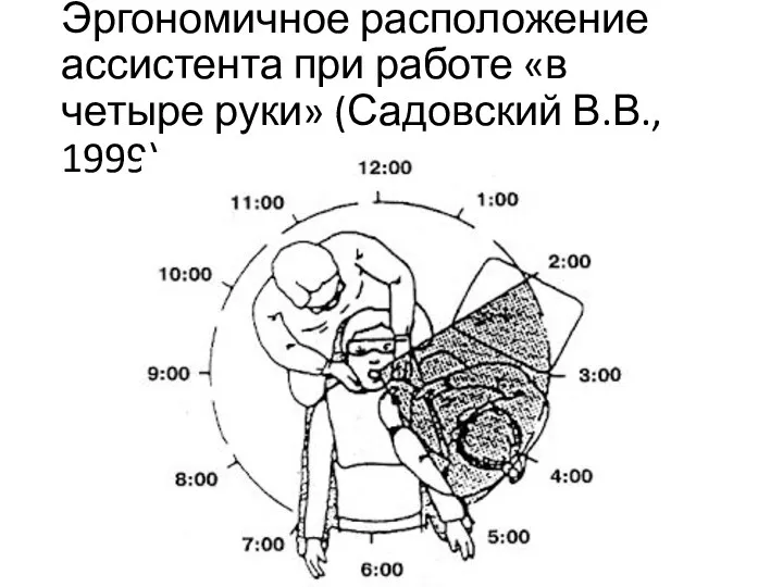 Эргономичное расположение ассистента при работе «в четыре руки» (Садовский В.В., 1999)