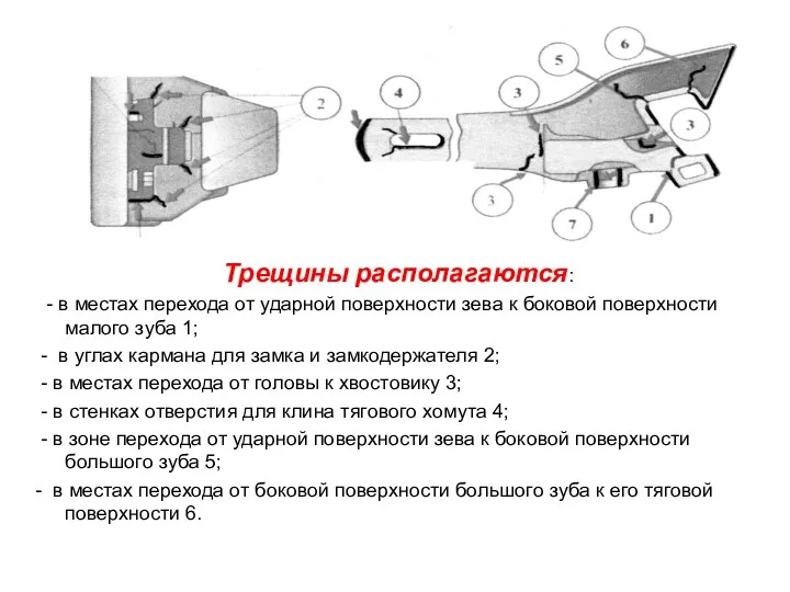 Трещины располагаются: - в местах перехода от ударной поверхности зева к боковой поверхности