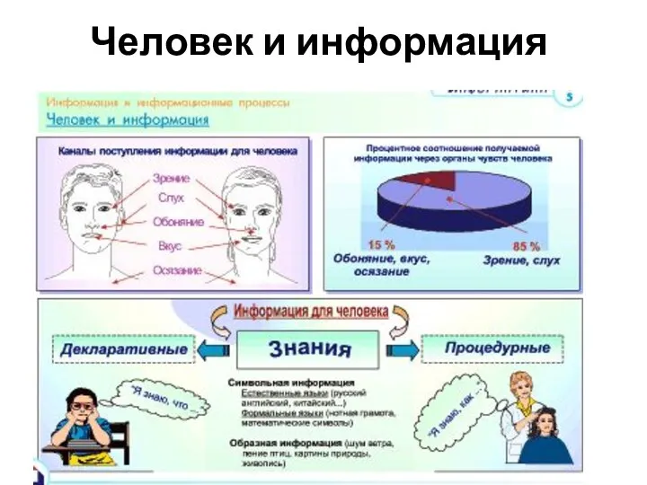 Человек и информация