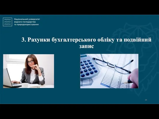 3. Рахунки бухгалтерського обліку та подвійний запис